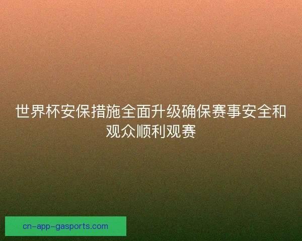 世界杯安保措施全面升级确保赛事安全和观众顺利观赛